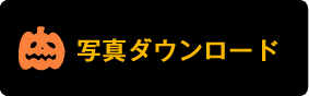 公開画像ダウンロード