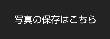 公開画像ダウンロード